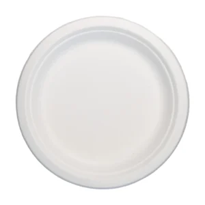 PLATO EXTRA GRANDE BAGAZO 260 mm C. EXP. B-10